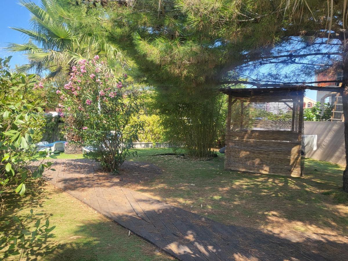 Villa Garden Vir Eksteriør bilde